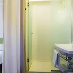 Ibis Budget Sud Hotel 2*